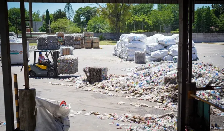 imagen del articulo